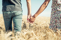 stock-photo-couple-holding-hands-in-a-wheat-field-walking-together-in-the-nature-331001609